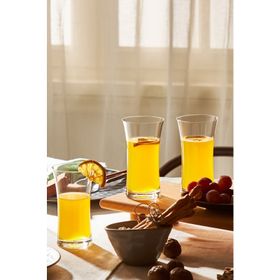 Karaca Lanius 6'lı Meşrubat Bardağı