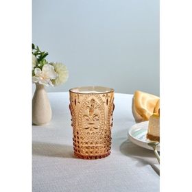 Karaca Moise Akrilik 400 ml Turuncu Su Bardağı