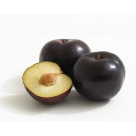 Karadeniz Fidancılık Açık Köklü Black Amber Erik Fidanı