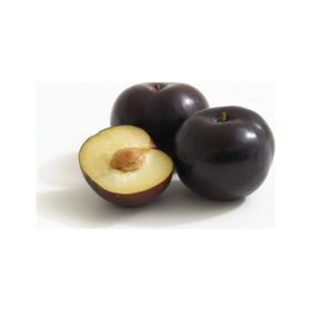 Karadeniz Fidancılık Açık Köklü Black Amber Erik Fidanı