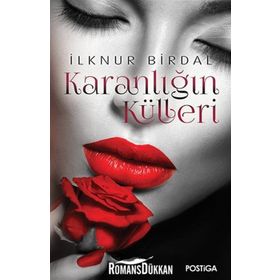Karanlığın Külleri - İlknur Birdal