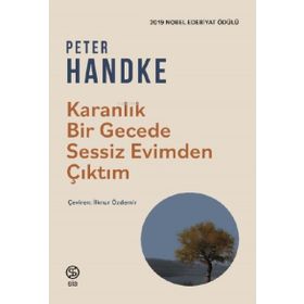 KARANLIK BIR GECEDE - PETER HENDKE