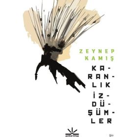 Karanlık İzdüşümler - Zeynep Kamış