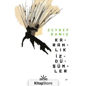 Karanlık İzdüşümler - Zeynep Kamış