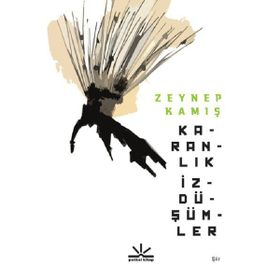 Karanlık İzdüşümler - Zeynep Kamış