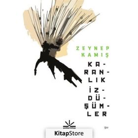 Karanlık İzdüşümler - Zeynep Kamış