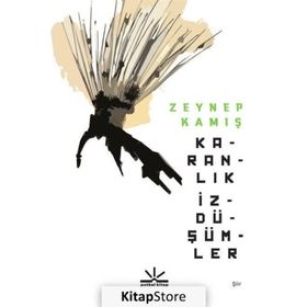 Karanlık İzdüşümler - Zeynep Kamış