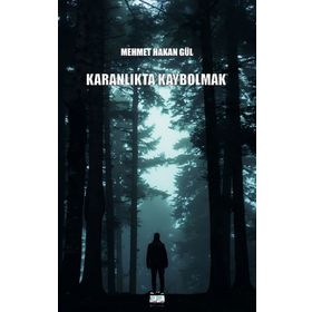 Karanlıkta Kaybolmak - Mehmet Hakan Gül