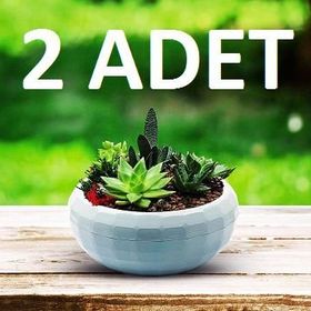 Karasu 610 2 Adet Küçük Aranjman Saksı