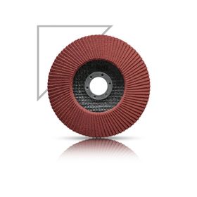 Karbosan 115 mm 80 Kum Flap Disk Zımpara