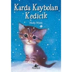 Karda Kaybolan Kedicik - Holly Webb