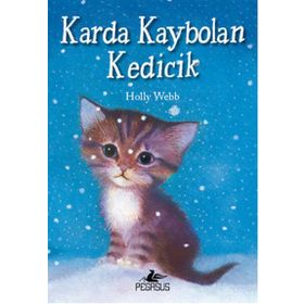 Karda Kaybolan Kedicik - Holly Webb