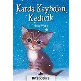 Karda Kaybolan Kedicik - Holly Webb