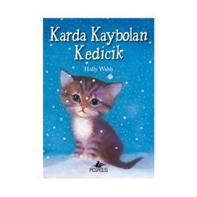 Karda Kaybolan Kedicik - Holly Webb