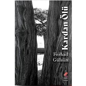 Kardan Ölü Ferhad Gülsün
