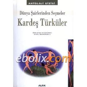 KARDEŞ TÜRKÜLER 15 YILIN ÖYKÜSÜ - AYHAN AKKAYA;DILER ÖZER;FEHMIYE ÇELİK;ÜLKER UNCU