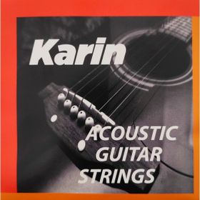 Karin K206 Akustik Gitar Teli