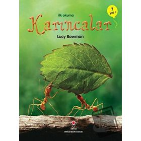 Karıncalar - Lucy Bowman