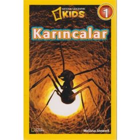 Karıncalar - Seviye 1 - Melissa Stewart