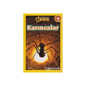 Karıncalar - Seviye 1 - Melissa Stewart