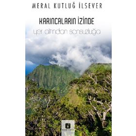 Karıncaların İzinde - Meral Kutluğ İlsever