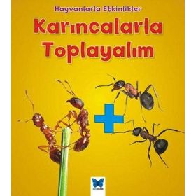 Karıncalarla Toplayalım - Tracey Steffora