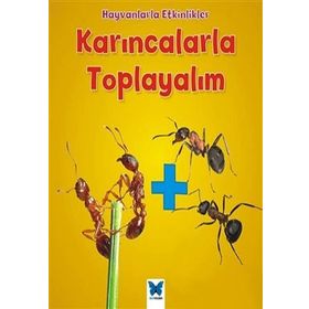 Karıncalarla Toplayalım - Tracey Steffora