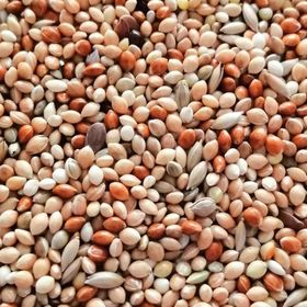 Karışık Muhabbet Kuşu Yemi 5 Kg