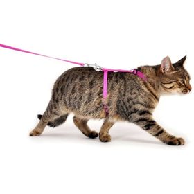 Karlie 110 cm Pembe Kedi Göğüs Tasma ve Uzatma Seti