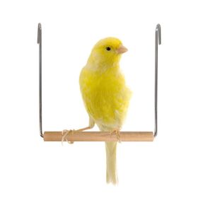 Karlie Ahşap Tünekli 13x13 cm Kuş Salıncağı