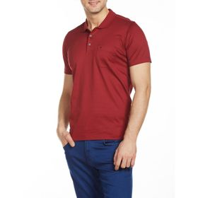 Karpefingo 6Y1817BO Bordo Polo Yaka Erkek T-shirt