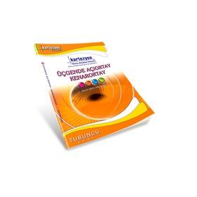 Kartezyen Üçgende Açıortay Kenarortay - Geometri - Remzi Şahin Aksankur
