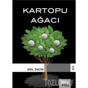KARTOPU AĞACI - GENEL