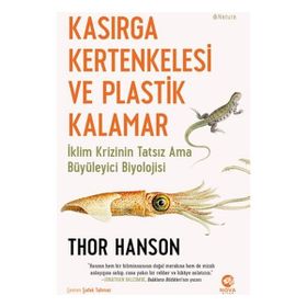 Kasırga Kertenkelesi ve Plastik Kalamar - Nova Kitap