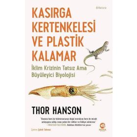 Kasırga Kertenkelesi ve Plastik Kalamar - Nova Kitap