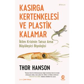 Kasırga Kertenkelesi ve Plastik Kalamar - Nova Kitap