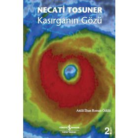 KASIRGANIN GÖZÜ - NECATI TOSUNER