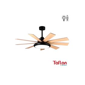 Kaşkar F60100 Siyah Tavan Vantilatör