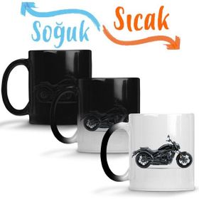 Kawasaki Vulcan S Motor Brandası
