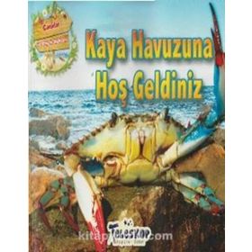Kaya Havuzuna Hoş Geldiniz - kollektif