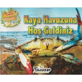 Kaya Havuzuna Hoş Geldiniz - kollektif