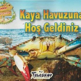 Kaya Havuzuna Hoş Geldiniz - kollektif