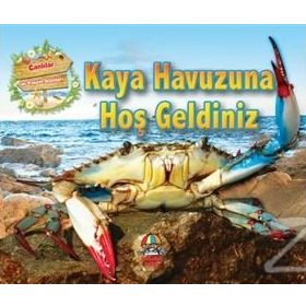 Kaya Havuzuna Hoş Geldiniz - kollektif
