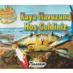 Kaya Havuzuna Hoş Geldiniz - kollektif
