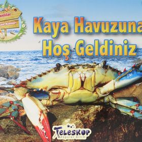 Kaya Havuzuna Hoş Geldiniz - kollektif