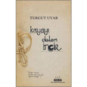 Kayayı Delen İncir Yapı Kredi Yayınları