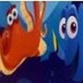 Kayıp Balık Dori Boyama Rulosu - kollektif