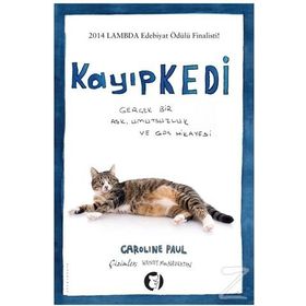 Kayıp Kedi - Caroline Paul Wendy MacNaughton