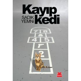 Kayıp Kedi - Caroline Paul Wendy MacNaughton