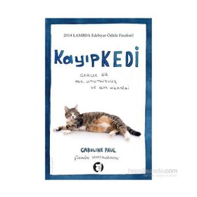 Kayıp Kedi - Caroline Paul Wendy MacNaughton